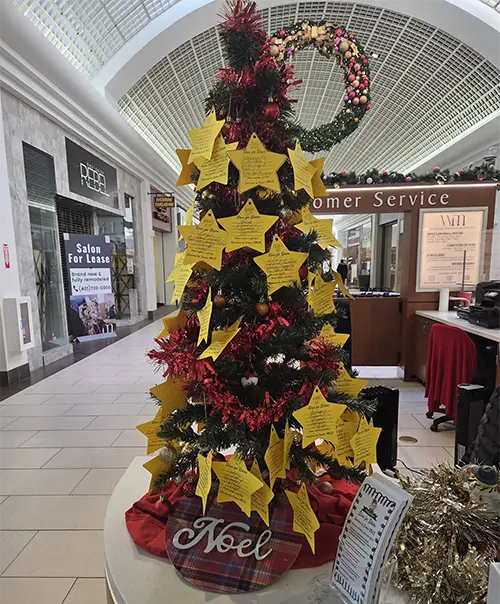 small tree with stars on a counter